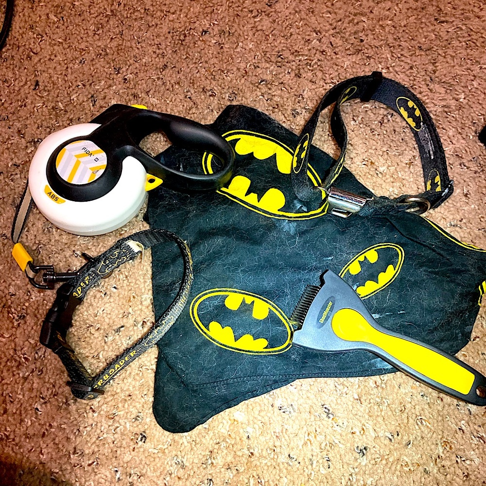 Batman Dog Accessories !